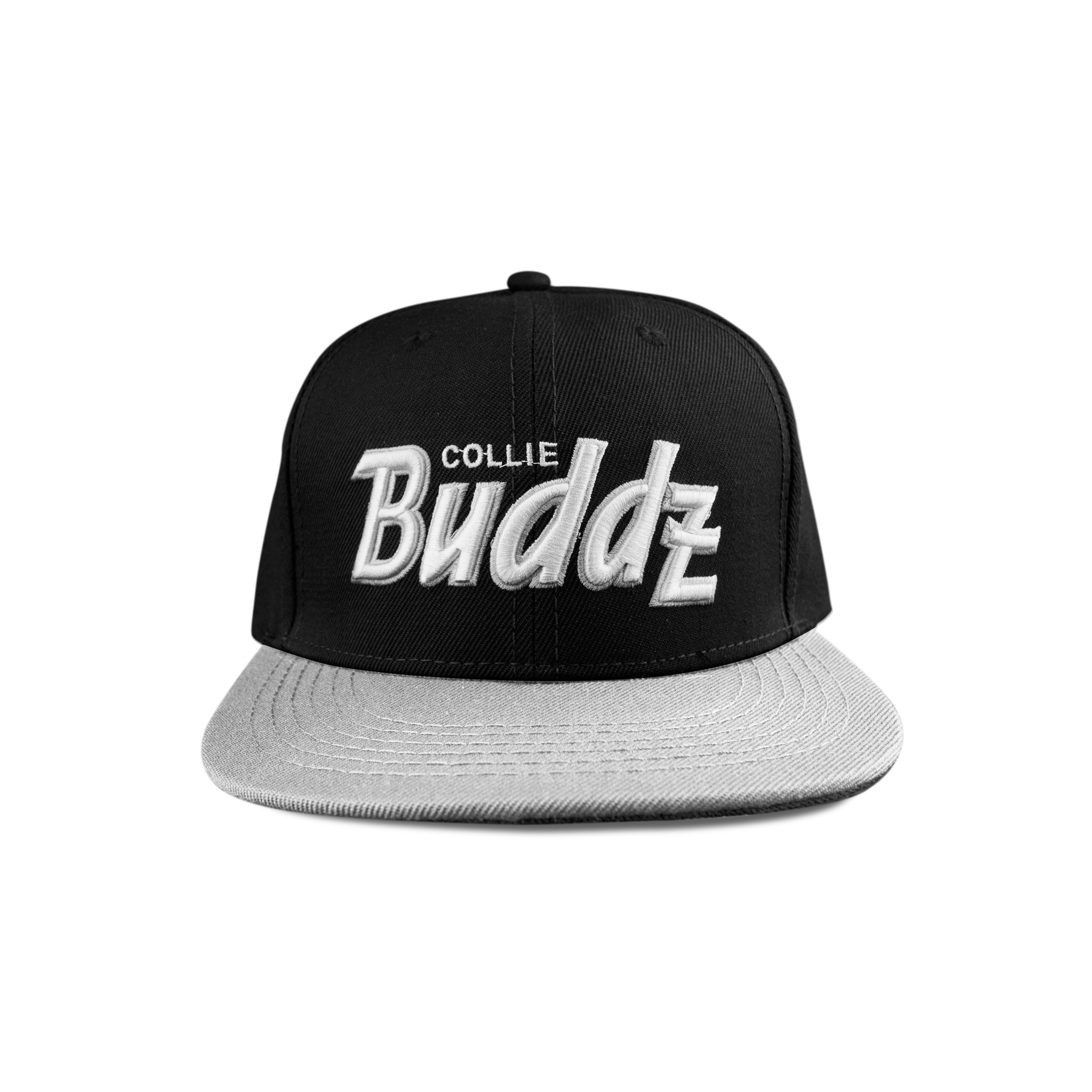 FANTASTICS buddix Logo Cap グレー BSRABBIT-2425FW COLLECTION