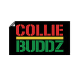 Collie Buddz Bumper Stickers (Pack of 2)