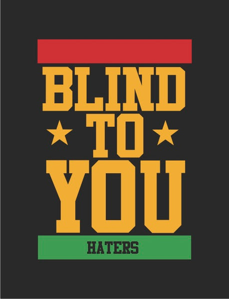 Collie Buddz - Blind To You Vinyl Sticker