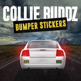 Collie Buddz 'Reggae Logo' Bumper Sticker