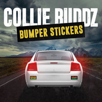 Collie Buddz 'Blind To You Haters' Bumper Sticker