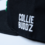 Collie Buddz - Love & Reggae Snapback